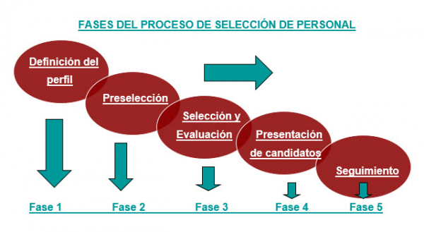 ¿Conoces las fases de un proceso de selección de personal? - GBS